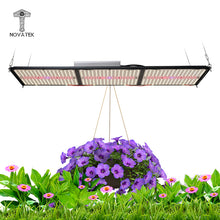 Afbeelding in Gallery-weergave laden, NOVATEK THOR 3200 PRO +UV 320W
