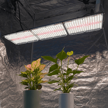 Afbeelding in Gallery-weergave laden, NOVATEK THOR 3200 PRO +UV 320W
