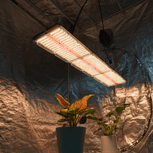 Afbeelding in Gallery-weergave laden, NOVATEK THOR 3200 PRO +UV 320W
