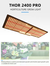 Load image into Gallery viewer, NOVATEK THOR 2400 PRO 240W
