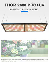 Load image into Gallery viewer, NOVATEK THOR 2400 PRO +UV 240W
