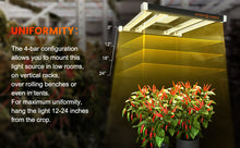 Afbeelding in Gallery-weergave laden, Spider Farmer SE 3000, SE series, Meanwell driver, dimmer, samsung LED, flexiebel, grow light, gloeilicht, kweeklamp, ce certificaat, Osram, ppe 2.75 mol, samsung horticulture LED, high PPFD, wit licht, full spectrum, 300watt, daisy chain, energy saving, SE5000, yoyo, kwaliteit, hydroponic, grow tent, greenhouse
