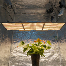 Afbeelding in Gallery-weergave laden, NOVATEK THOR 3200 PRO 320W
