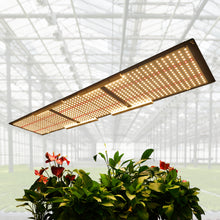Afbeelding in Gallery-weergave laden, NOVATEK THOR 3200 PRO 320W
