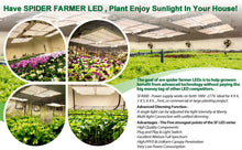 Afbeelding in Gallery-weergave laden, Spider Farmer SF 1000, SE series, Meanwell driver, dimmer, samsung LED, flexiebel, grow light, gloeilicht, kweeklamp, ce certificaat, Osram, ppe 2.75 mol, samsung horticulture LED, high PPFD, wit licht, full spectrum, 300watt, daisy chain, energy saving, SE5000, yoyo, kwaliteit, hydroponic, grow tent, greenhouse, Samsung LED

