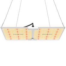Afbeelding in Gallery-weergave laden, Spider Farmer SF 2000, SE series, Meanwell driver, dimmer, samsung LED, flexiebel, grow light, gloeilicht, kweeklamp, ce certificaat, Osram, ppe 2.75 mol, samsung horticulture LED, high PPFD, wit licht, full spectrum, 300watt, daisy chain, energy saving, SE5000, yoyo, kwaliteit, hydroponic, grow tent, greenhouse, Samsung LED
