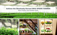 Afbeelding in Gallery-weergave laden, Spider Farmer SF 1000, SE series, Meanwell driver, dimmer, samsung LED, flexiebel, grow light, gloeilicht, kweeklamp, ce certificaat, Osram, ppe 2.75 mol, samsung horticulture LED, high PPFD, wit licht, full spectrum, 300watt, daisy chain, energy saving, SE5000, yoyo, kwaliteit, hydroponic, grow tent, greenhouse, Samsung LED
