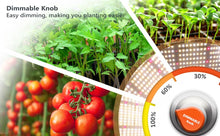 Afbeelding in Gallery-weergave laden, Spider Farmer SF 1000, SE series, Meanwell driver, dimmer, samsung LED, flexiebel, grow light, gloeilicht, kweeklamp, ce certificaat, Osram, ppe 2.75 mol, samsung horticulture LED, high PPFD, wit licht, full spectrum, 300watt, daisy chain, energy saving, SE5000, yoyo, kwaliteit, hydroponic, grow tent, greenhouse, Samsung LED

