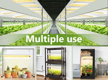 Afbeelding in Gallery-weergave laden, Spider Farmer SF600 74w 2.3µmol/J
